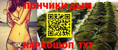 гашик Каменск-Уральский