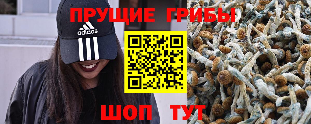 Медногорск  Галлюциногенные грибы мухоморы  Галлюциногенные грибы Cubensis  Вход с VPN 